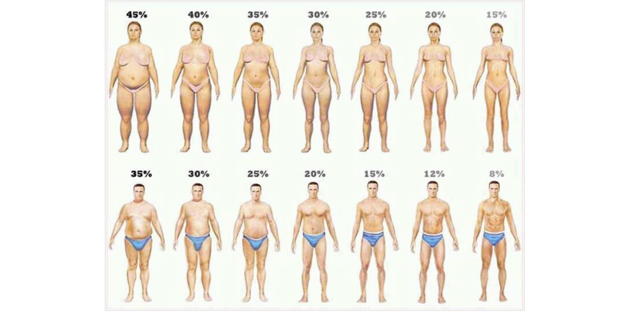 Bodyfat Percentage Visual Method